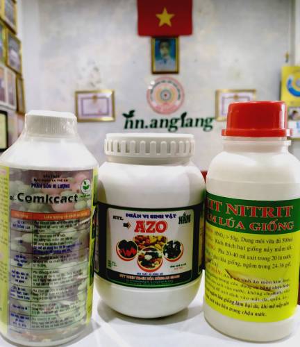CÁCH NGÂM LÚA GIỐNG HIỆU QUẢ VÀ NHỮNG LƯU Ý ĐẠT NẢY MẦM CAO