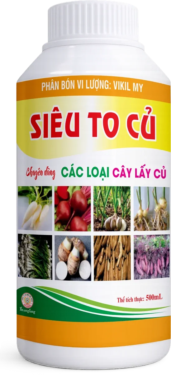 Vikil My Siêu To Củ