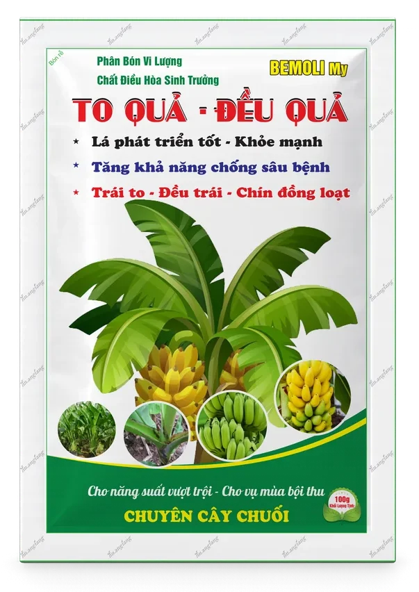 Bemoli My To Quả – Đều Quả
